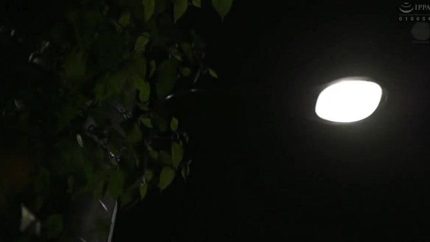目黑惠_(1)